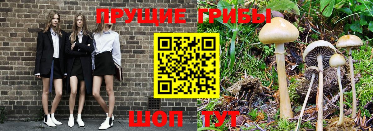 Воронеж  Псилоцибиновые грибы мицелий  Вход с VPN  Псилоцибиновые грибы ЛСД 